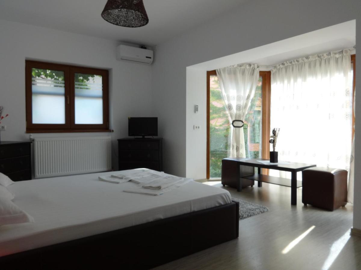 Villa Zorba 부쿠레슈티 객실 사진