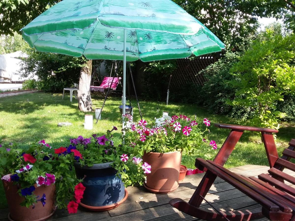 Villa Zorba 부쿠레슈티 외부 사진